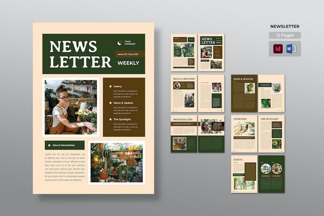 Newsletter Design