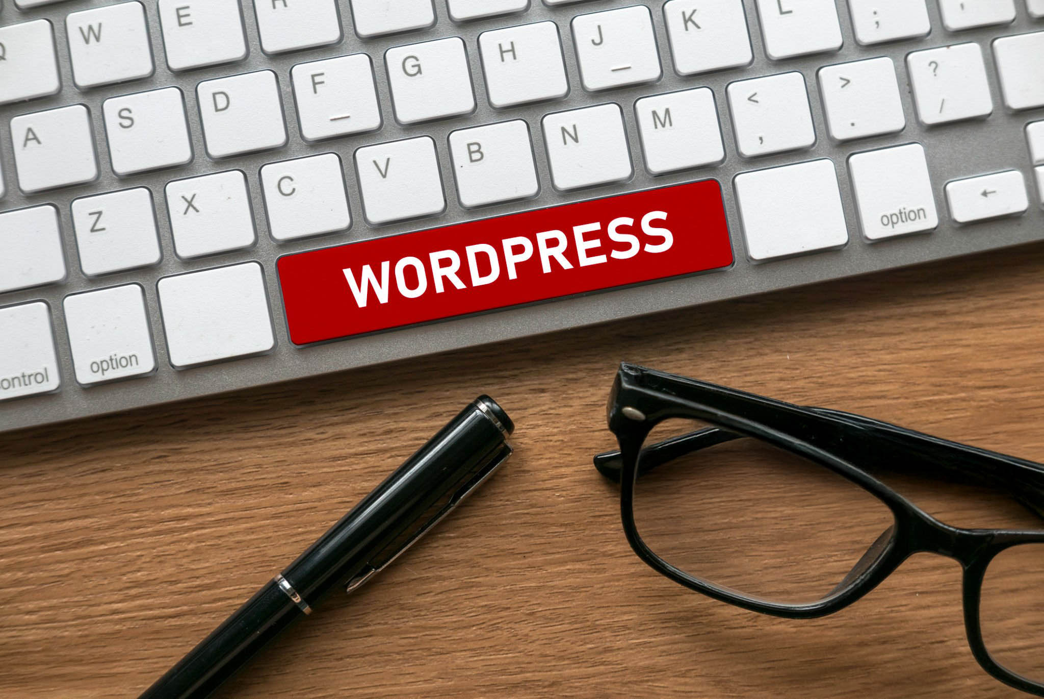 WordPress Website