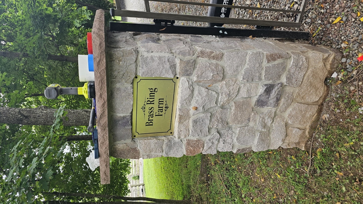 Outdoor Entrance Gold Black 1 — Signs & Banners