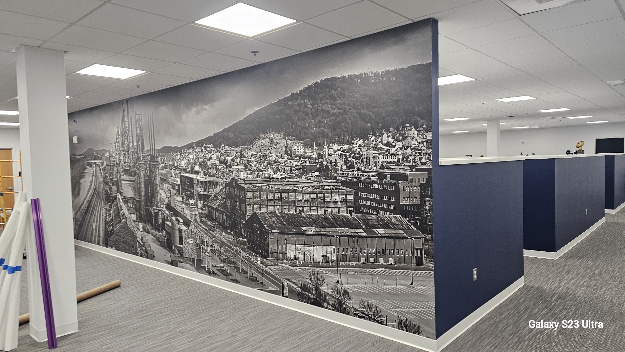 Wall Graphics — Signs & Banners