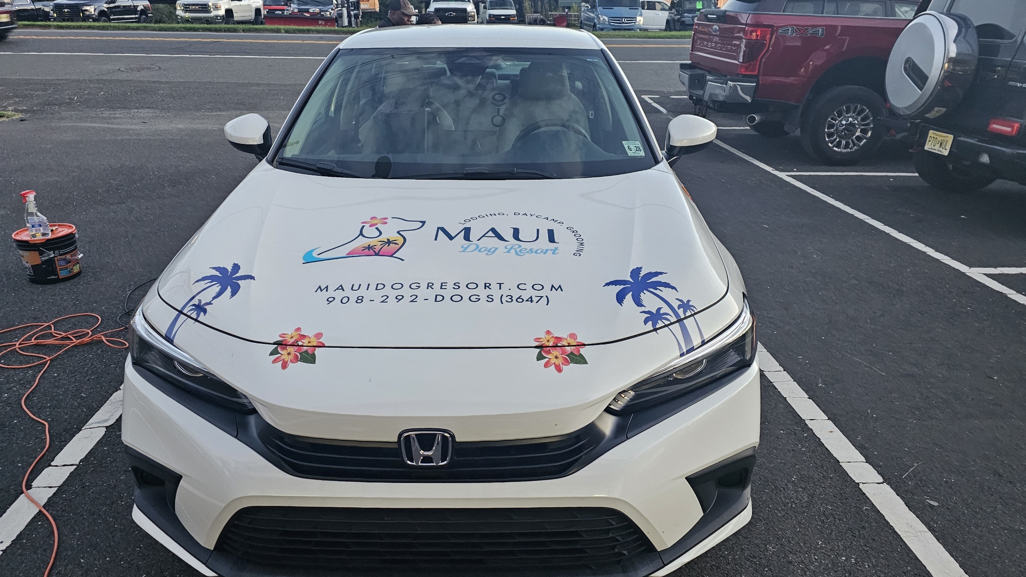 Maui Dog Car Wrap 1 — Signs & Banners