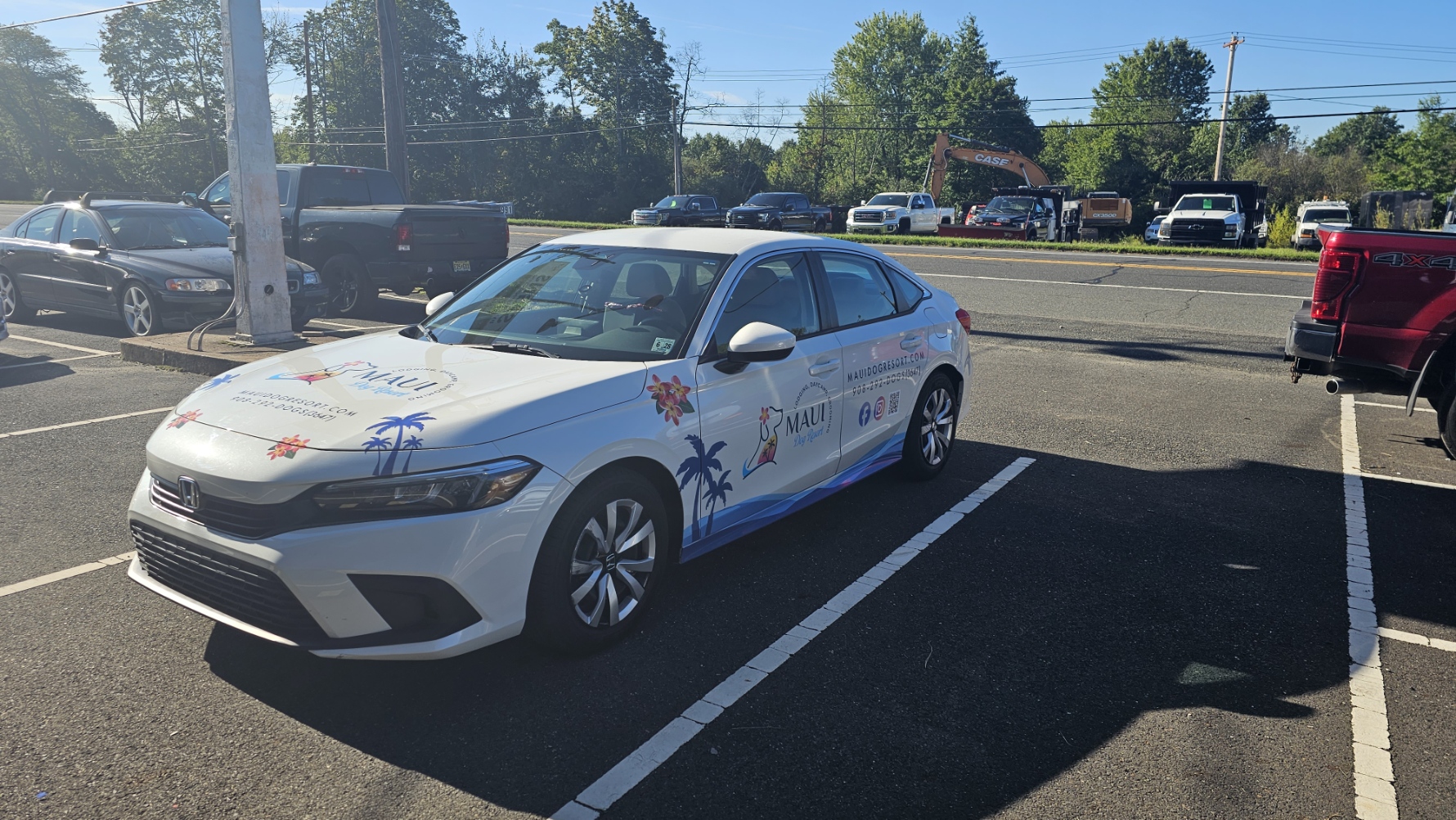 Maui Dog Car Wrap 4 — Signs & Banners
