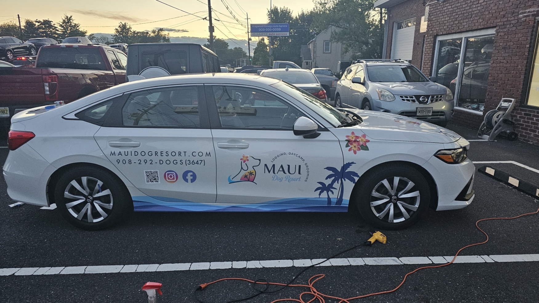 Maui Dog Car Wrap — Signs & Banners